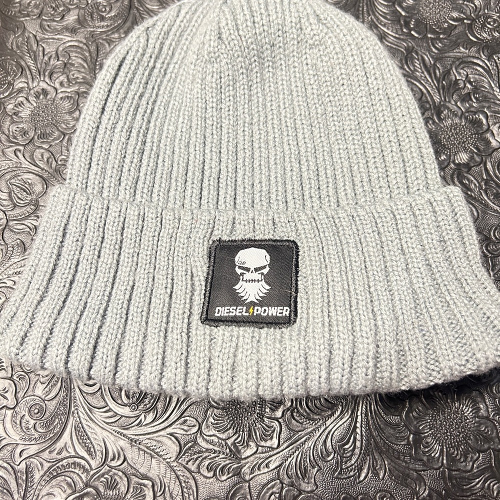 Diesel Power Gray Ribbed Beaniew Skull Logo